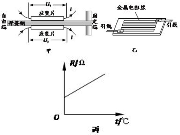 傳感器內(nèi)部應(yīng)變片結(jié)構(gòu)示意圖